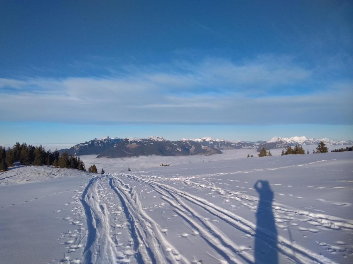 Bergengel Hotel Scharnachtal Eksteriør billede