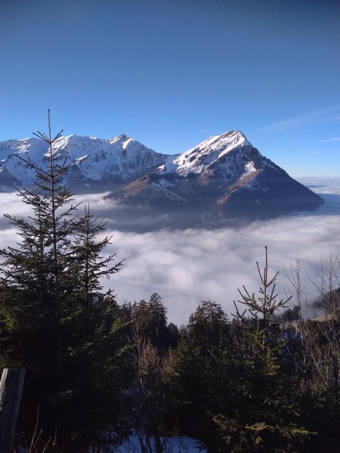 Bergengel Hotel Scharnachtal Eksteriør billede